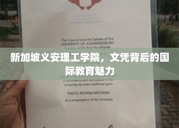 解码新加坡义安理工学院，文凭之光下的全球教育风采