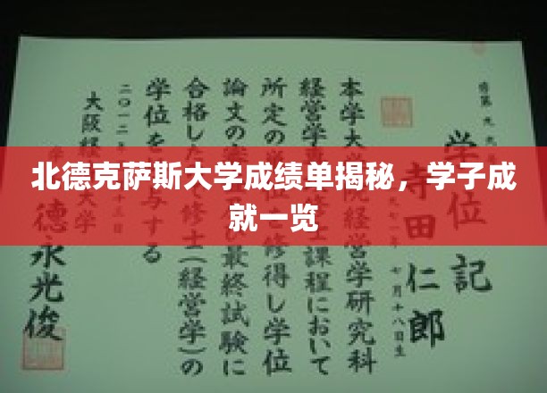 北德克萨斯大学学子风采，一纸成绩单见证卓越成就