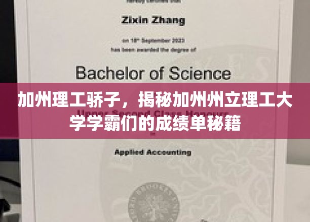加州理工骄子，揭秘加州州立理工大学学霸们的成绩单秘籍