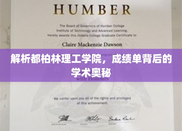揭秘都柏林理工学院，成绩单背后隐藏的学术魅力