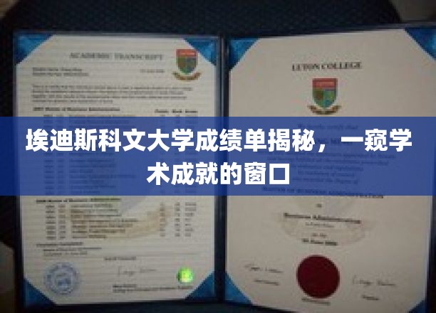 埃迪斯科文大学成绩单揭秘，一窥学术成就的窗口
