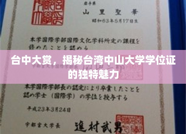 台中大赏，揭秘台湾中山大学学位证的独特魅力
