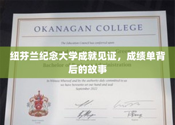 纽芬兰纪念大学荣耀瞬间，解码辉煌成绩背后的感人篇章