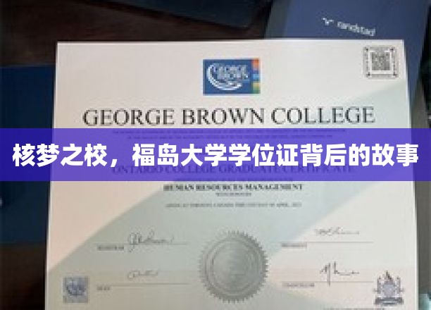 核梦校园，福岛大学学位证背后的传奇历程