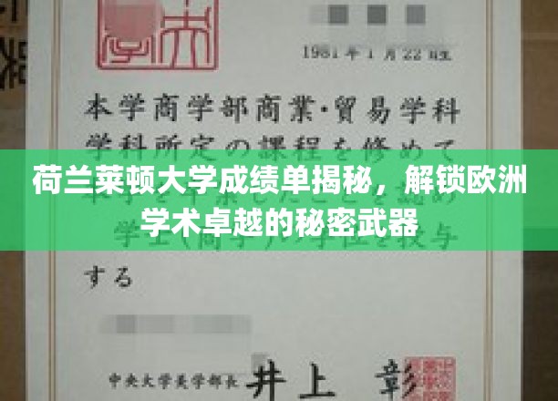荷兰莱顿大学成绩单揭秘，解锁欧洲学术卓越的秘密武器