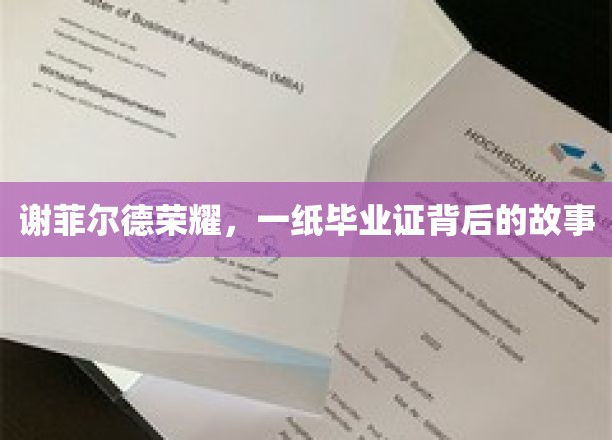 谢菲尔德荣耀，毕业证书背后的荣耀征程