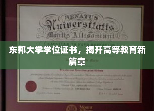 东邦学位证书闪耀，高等教育革新之旅启航