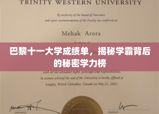 巴黎学霸风云录，揭秘十一大学成绩单背后的学力秘密
