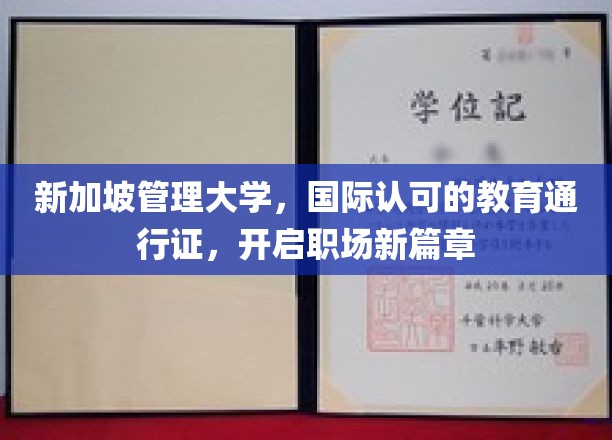 新加坡管理大学，国际认可的教育通行证，开启职场新篇章