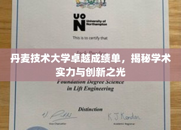 丹麦技术大学卓越成绩单，揭秘学术实力与创新之光