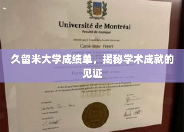 久留米大学成绩单，揭秘学术成就的见证