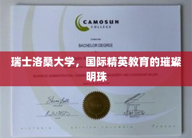 瑞士洛桑大学，国际精英教育的璀璨明珠