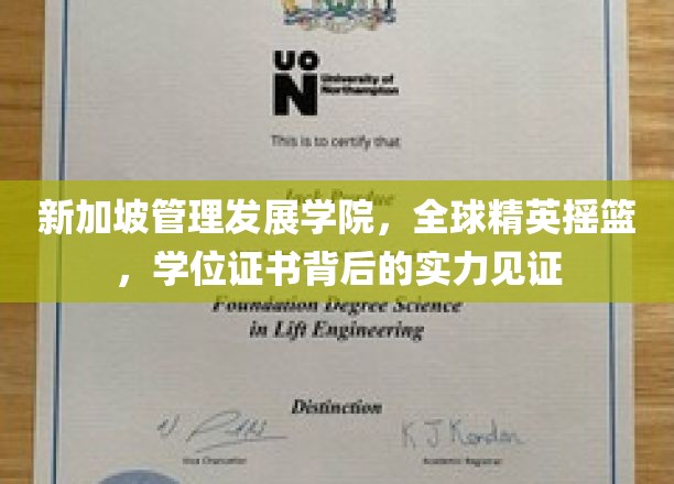 新加坡管理发展学院，培养全球精英的摇篮，学位证书彰显实力与魅力