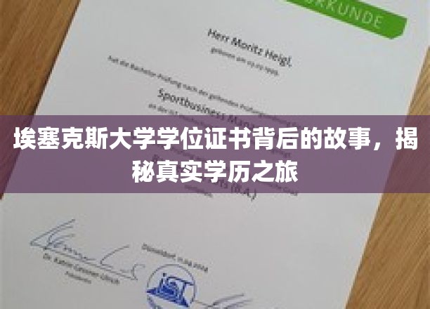 埃塞克斯大学学位证书背后的故事，揭秘真实学历之旅