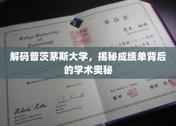 探寻普茨茅斯大学成绩单里的学术密码
