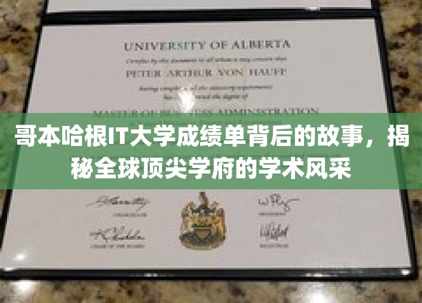 哥本哈根IT大学成绩单背后的故事，揭秘全球顶尖学府的学术风采