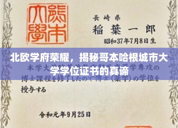 北欧学府荣耀，深度解析哥本哈根城市大学学位证书的内涵