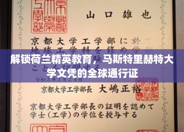 全球精英培养高地，马斯特里赫特大学文凭的国际通行证大揭秘