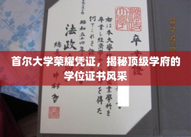 首尔大学荣耀凭证，一睹顶级学府学位证书的尊贵风采