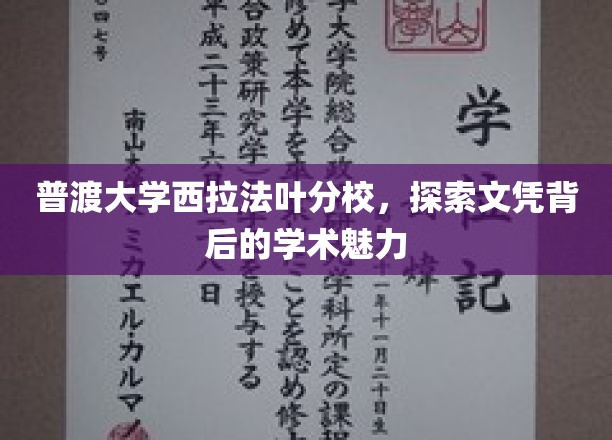 普渡大学西拉法叶分校，探寻文凭背后的学术魅力