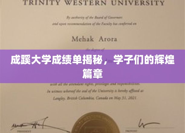 成蹊学子荣耀录，揭秘大学成绩单背后的辉煌故事