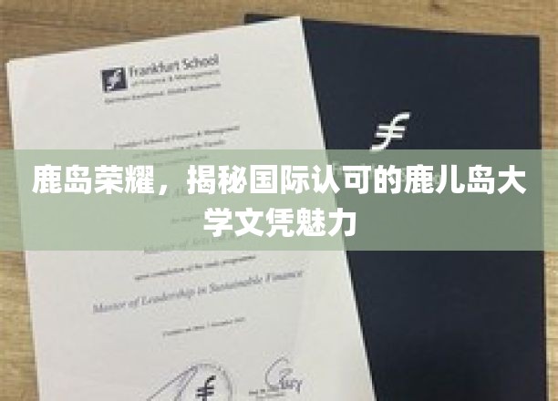 鹿岛荣耀，揭秘国际认可的鹿儿岛大学文凭魅力
