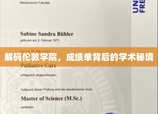 探寻伦敦学院，揭开成绩单背后的学术奥秘