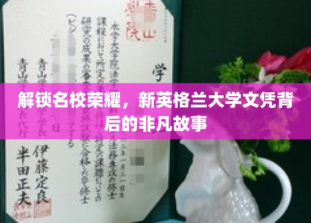 探寻精英摇篮，揭秘新英格兰大学文凭背后的传奇之路