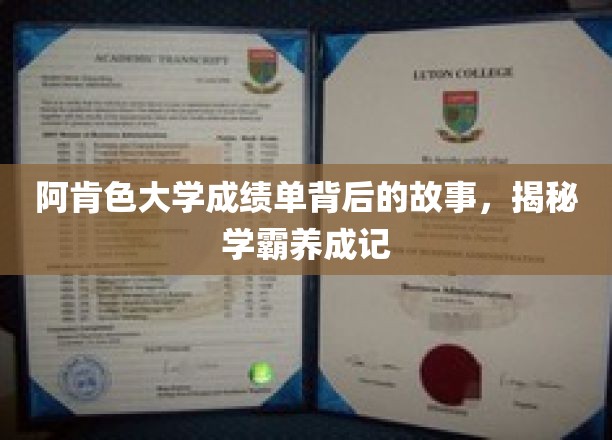 揭开阿肯色大学学霸背后的神秘成绩单传奇