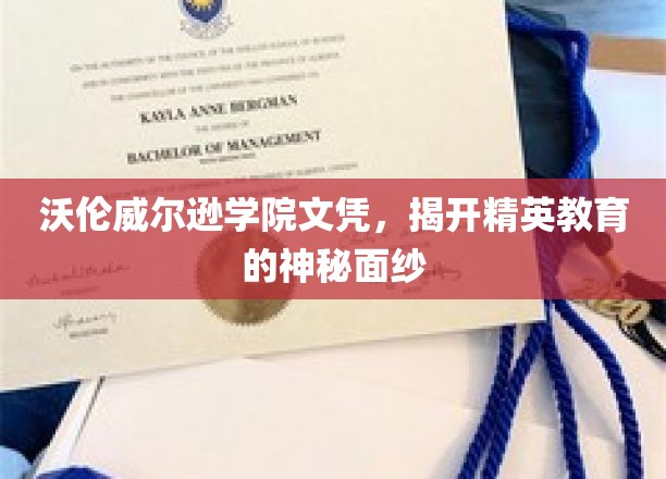 解码沃伦威尔逊学院，精英教育背后的非凡世界