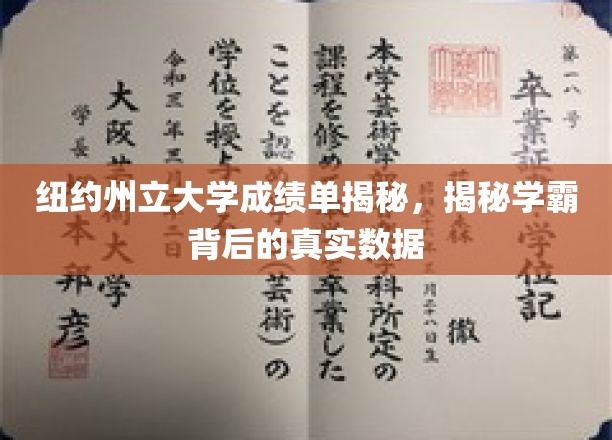 探寻纽约州立大学学霸成绩单背后的惊人真相