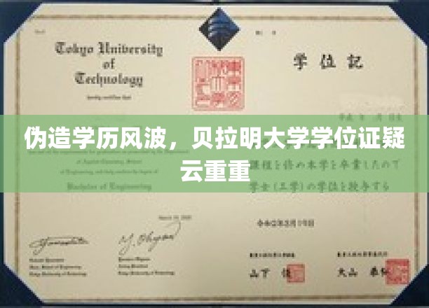 贝拉明大学学历门，真假难辨，学位证书疑云笼罩教育界
