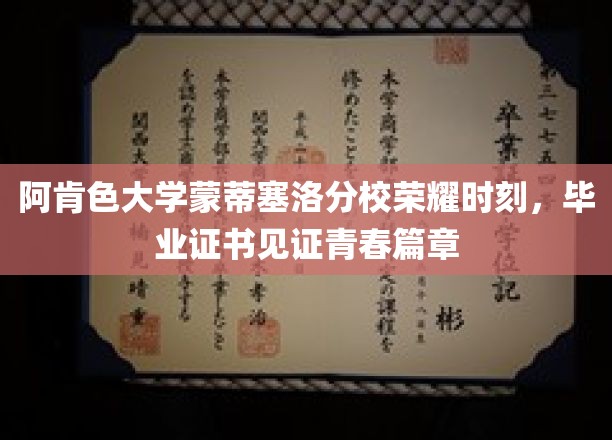 阿肯色大学蒙蒂塞洛分校，青春华章，荣耀证书映照毕业辉煌