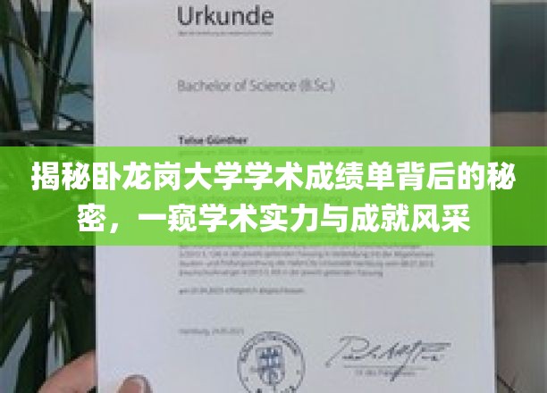 解码卧龙岗大学成绩单，揭开学术卓越与辉煌成就的面纱