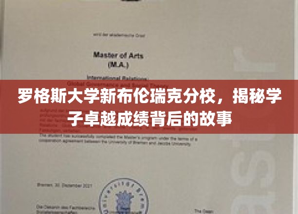 探寻罗格斯大学新布伦瑞克分校学子非凡成就的奥秘之路