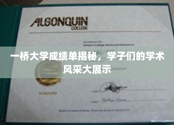 一桥学子风采录，揭秘一桥大学成绩单背后的学术盛宴
