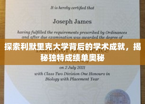 解码利默里克大学，揭开非凡学术成就的秘密面纱