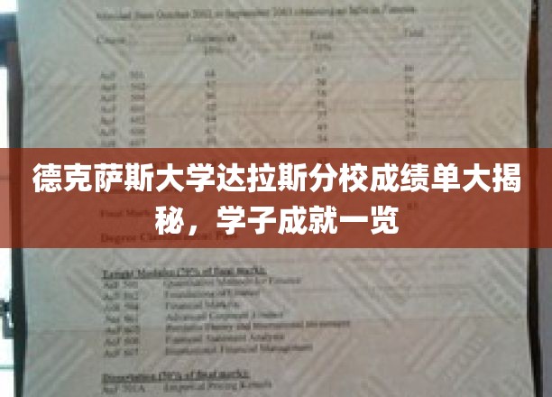 德克萨斯大学达拉斯分校学子风采，揭秘优秀成绩背后的故事