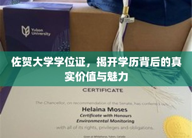 探索佐贺大学学位证的非凡价值，解锁学历背后的光彩魅力