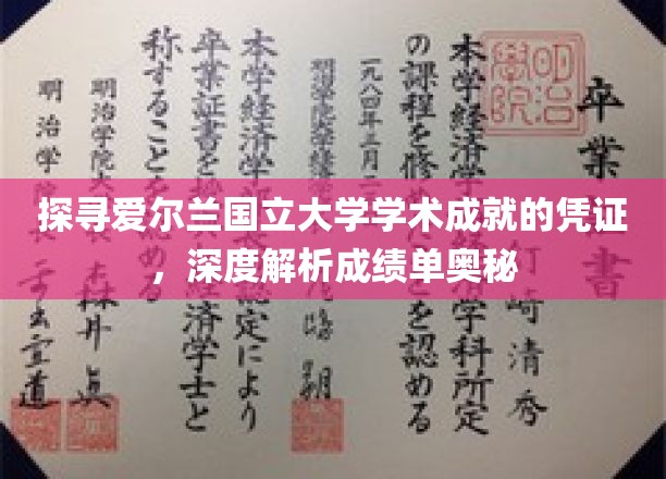 解码爱尔兰国立大学成绩单，揭秘学术成就背后的秘密
