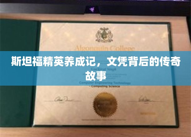 斯坦福精英养成记，文凭背后的传奇故事