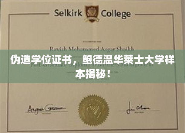 伪造学位证书，鲍德温华莱士大学样本揭秘！