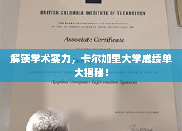 解锁学术实力，卡尔加里大学成绩单大揭秘！
