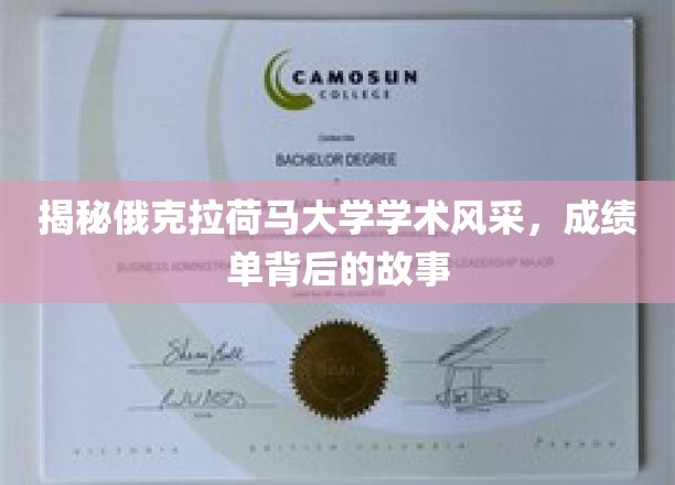 解码俄克拉荷马大学卓越之光，揭秘学子成绩背后的精彩历程