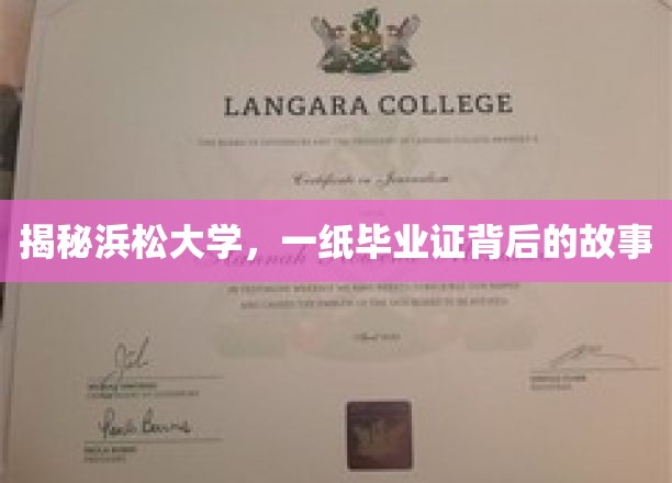 浜松大学毕业证，揭开学子奋斗的华丽面纱