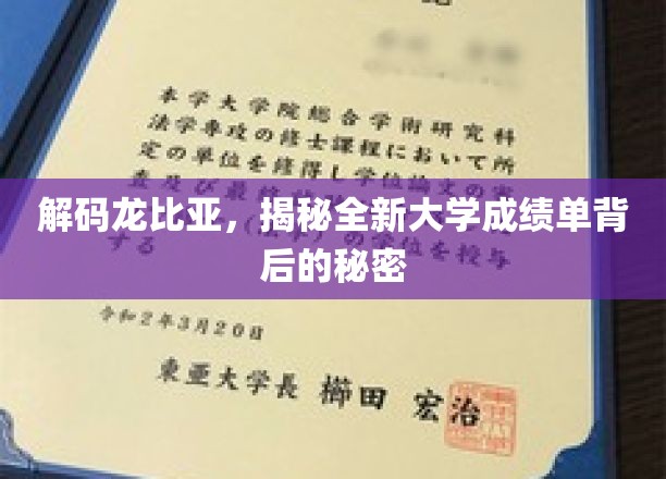 解码未来教育，揭秘大学成绩单革新背后的故事