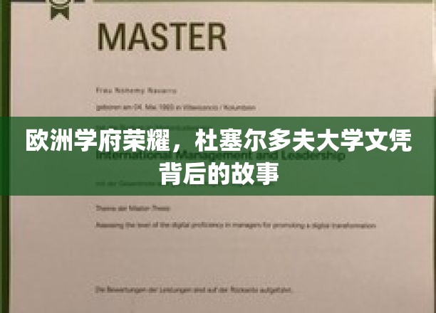 欧洲教育之光，杜塞尔多夫大学文凭背后的传奇历程