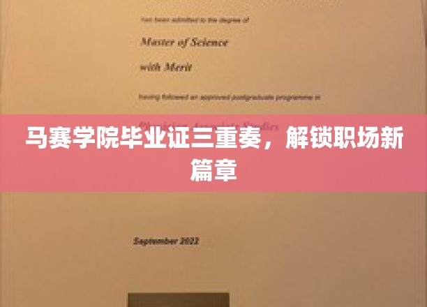马赛学院荣耀三重奏，解锁职场精英新境界