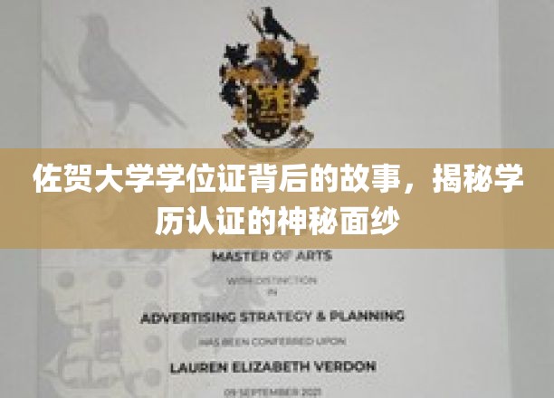 佐贺大学学位证背后的故事，揭秘学历认证的神秘面纱