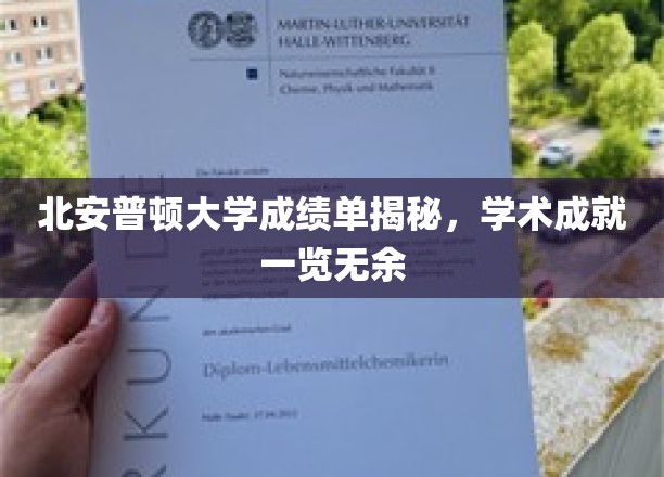 北安普顿大学成绩单深度解析，学术成就尽收眼底